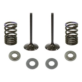Outlaw Racing OR5204-IK Intake Valve and Stainless Steel Spring Kit GAS GAS EC450-F 13-15 YAMAHA YZ450F 03-09