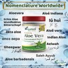 Aloe Vera Powder