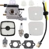 BXparts Carburetor for Echo Mantis 2 Cycle 7222 7225 7920
