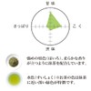 Senjaso Gold White Fold with Matcha, 3.5 oz (100 g),