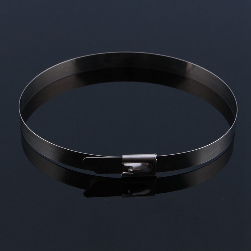 50pcs 12" Stainless Steel Exhaust Wrap Coated Self Locking Cable