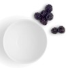 Eva Solo EV887263 Legio Nova Bowl 0.4 l