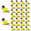 Lyreh 30pcs Duck Hair Clips, Resin Duck with Hat Clips