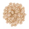 Palouse Brand Bulk Chickpeas Dry, 18 LBS