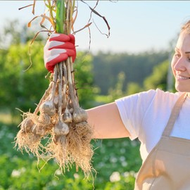 IYICLOTH Gardening Gloves for Women, Breathable Rubber Coated for Yard Garden, Outdoor Indoor Protective Work with Grip