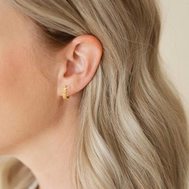 Small Leaf Dangle Gold Earrings for women,Hypoallergenic Exquisite Leaf Earrings Trendy Jewelry Anniversary Birthday Gifts