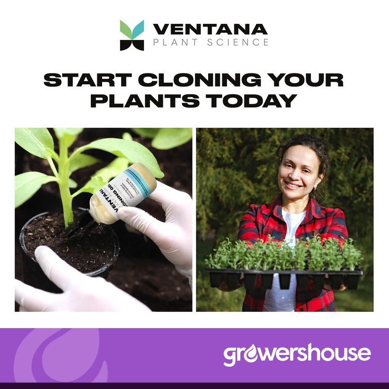 Ventana Plant Science Cloning Gel - Cloning Paste with Rapid
