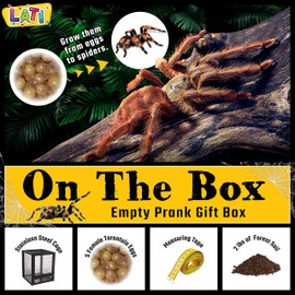 LATI TOYS Prank Tarantula Raise - Wrap Your Real Gift in a Prank Funny Gag Joke Gift Box ; Awesome Novelty Gift Box for Any Adult or Kid! Gag Party Funny Silly Joke Gift, No Contents Added
