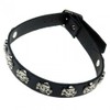 Collar with Skull & Bones designs