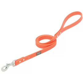 Terrain D.O.G. Brahma Webb Dog Leash, 3/4" x 4', Blaze Orange