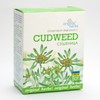 CUDWEED, GNAPHALIUM ULIGINOSUM L | Original Herbs Herbal Tea –