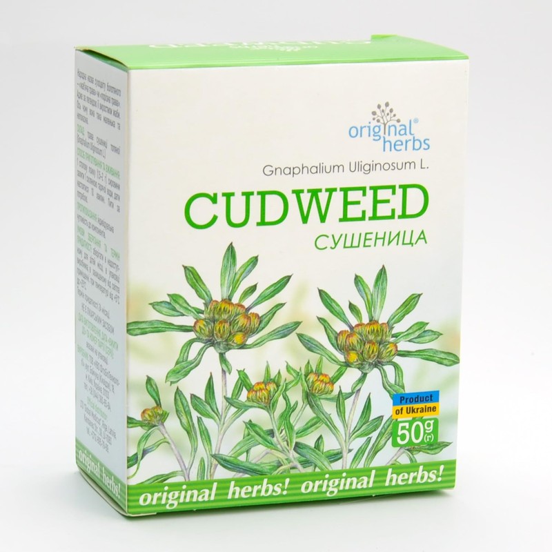 CUDWEED, GNAPHALIUM ULIGINOSUM L | Original Herbs Herbal Tea –