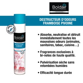 BOLDAIR Destructor Peony Raspberry Red