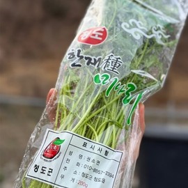 Water parsley 200g x 5 bags / 미나리 200g x 5봉