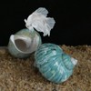 iao.v.p 2pcs XXL Hermit Crab Shells, Natural Sea Conch, Green,