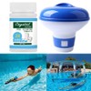 Swimming Pool Cleaning Kit Accessories Garden Pond Test Strips Spa