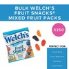 WELCH‘S Fruit Snacks Mixed Fruit, 250 Count