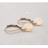 Tiny 14k Yellow Gold Filled Earrings