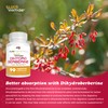 Pure Nootropics - Dihydroberberine Supplement (GlucoVantage) 100 mg, 90 Capsules