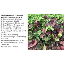 2025 New This is A Mix Asian Vegetables 12 Varieties Heirloom Non-GMO Malabar Spinach 5000 Seeds Enough for Your Garden Amaranth Seeds Tatsoi Mustard Lettuce bok Choy Choy Choy Sum