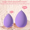 Makeup Sponge & Powder Puff Set, 15pcs/set Multi-functional Soft Makeup