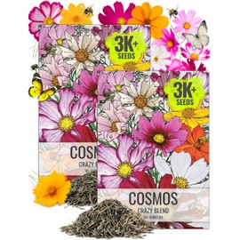 Seed Needs Flower Seeds Cosmos Crazy Blend No Filler 10+ Varieties | Cosmo Bipinnatus Open Pollinated Untreated | Resealable Packaging Keeps Seeds Fresh | Cosmos Flowering Seed Mix (2 Bulk Packs)