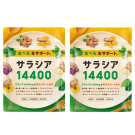 サラシア14400 サラシア 桑の葉 ウコン 菊芋 乳酸菌 ナットウキナーゼ ショウガ麴 13種類の贅沢成分 90粒 30日分 (2袋)