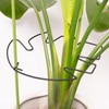 Yohsnor 5PCS Monstera Plant Stem Support - 11 * 9.4