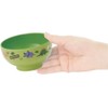 Skater N6 Painted Soup Bowl Dinosaurus