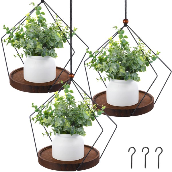Threehoney 3 Pack Hanging Planters for Indoor Black Plant Hanger