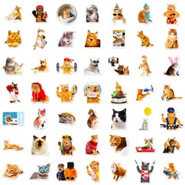 Cat Stickers for Kids Teens Girls Adults, 100 Pcs Cute Cat Stickers, Vinyl Waterproof Animal Stickers for Water Bottle, Laptop, Luggage, Phone, Skateboard