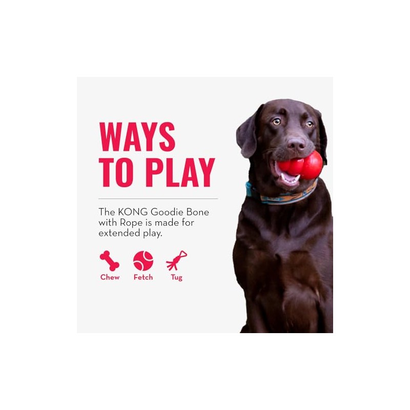 KONG Goodie Bone with Rope Dog Toy, Rojo, XS
