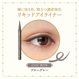 MAJOLICA MAJORCA (マジョリカ マジョルカ) Line Expander GY817 Nocturnal 0.5mL | Eyeliner | Liquid Type | Smudge-resistant, Washable with Water, Ultra-fine, Rich Color | Shiseido