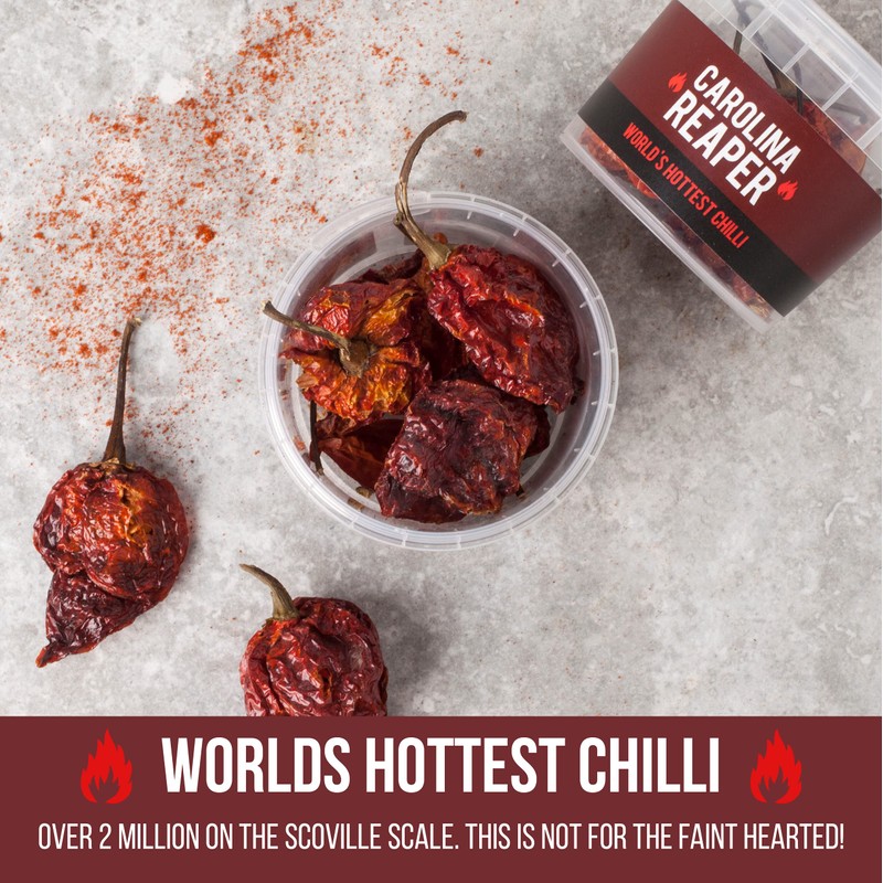 SPICENTICE | Carolina Reaper Chilli Pot | Worlds Hottest Chilli