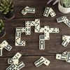 Premium Set of 55 Double Nine Dominoes with Wood Case,