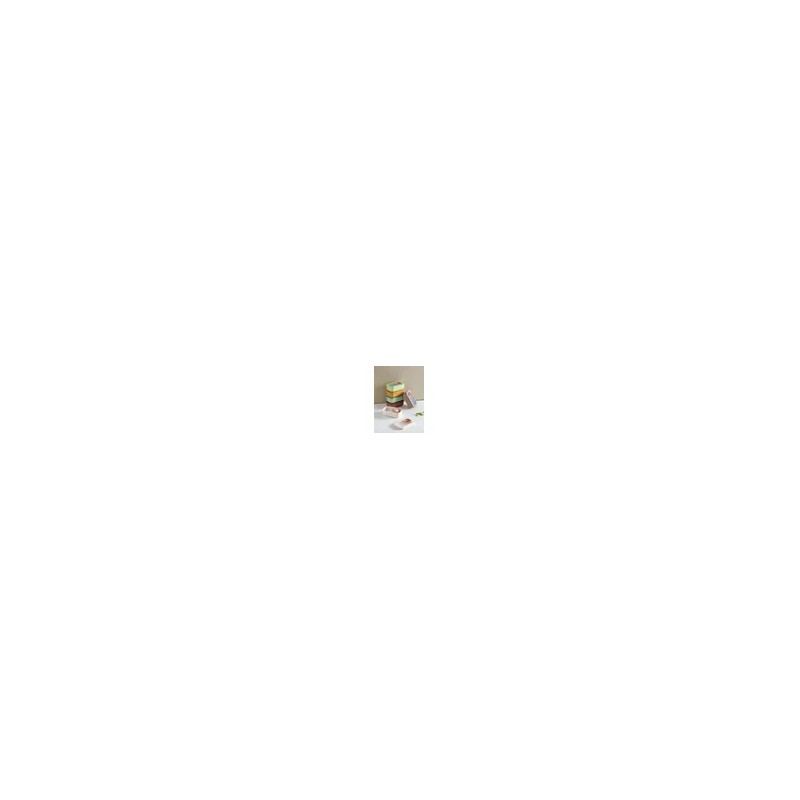 아르딘 Ardin Ciero Color Airtight Container Rectangular 900ml