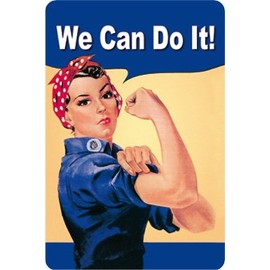 We can do it Blechschild Gewölbt Neu 20x30cm VS2648