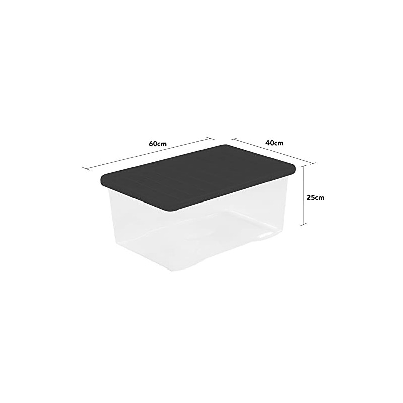 Wham Crystal Clear Plastic Storage Box