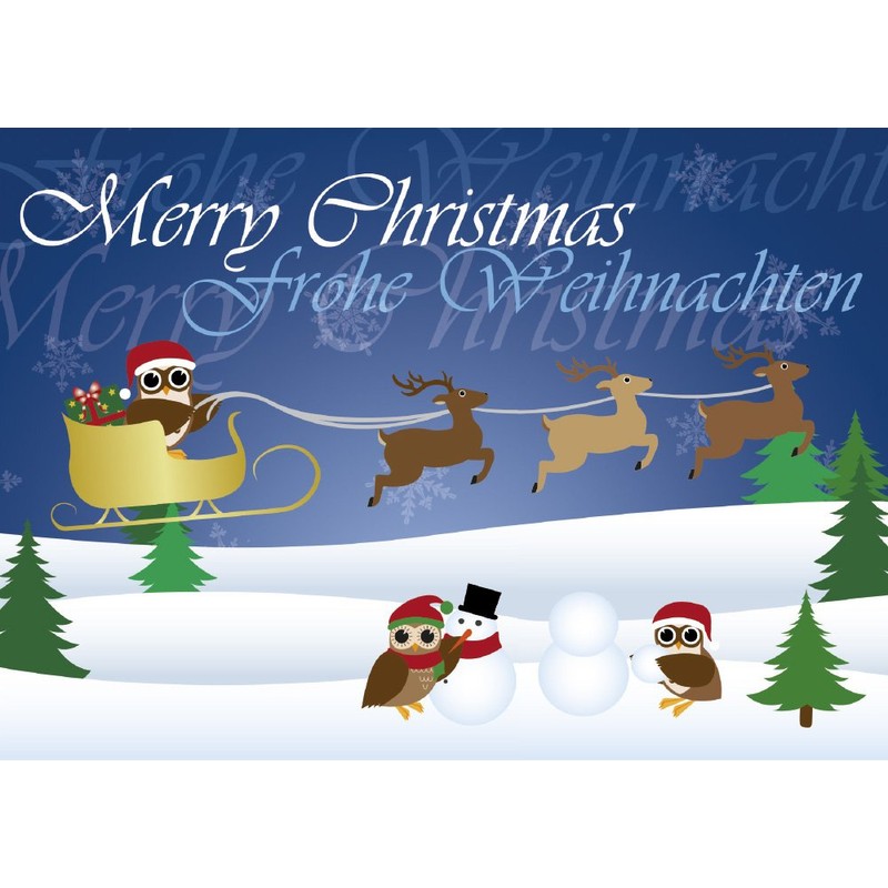 12 Postkarten - Mix Eulen Weihnachten Weihnachtskarten 6 verschiedene Motive
