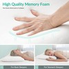 AM AEROMAX 2.75 Inches Queen Size Hyper Slim Memory Foam