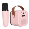 Portable Karaoke Machine LED Dynamic Light Small Bluetooth Speaker with