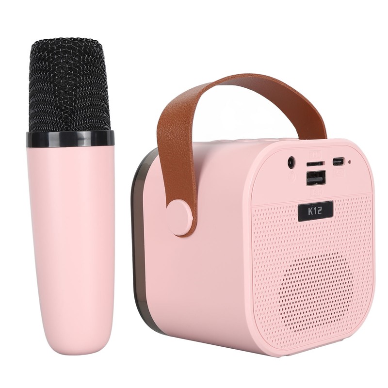 Portable Karaoke Machine LED Dynamic Light Small Bluetooth Speaker with
