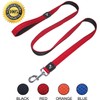 Kruz Premier 5ft Dog Mesh Leash - KZA1160-02S - Lightweight,