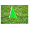 SCSpecial Small Flags 25 Pieces Mini Handheld Flags on Stick