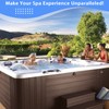 Hot Tub Mineral Sanitizer for Hot Tubs Filter, Spas Filter,