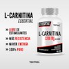Testrol L-Carnitina Essential 1200 mg Apoyo al Rendimiento Fsico y