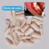 Paquete Dientes Compatibles Nissin Tipodonto