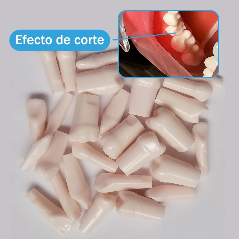 Paquete Dientes Compatibles Nissin Tipodonto