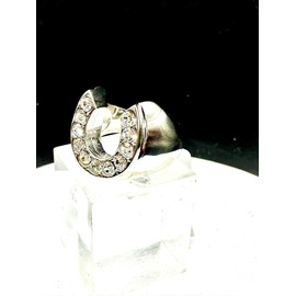 YourJewelleryBox Men's Horse Shoe Simulated Diamond Ring Signet Pinky Steel Not Tarnish Tk34532 (Z4)