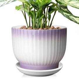 YUFDA 8 Inch Plant Pot, Ceramic Planter with Drainage and Saucer, Ceramic Pots for Plants, Indoor Plant pots,Ceramic Flower pots(Purple + White, Plants NOT Included)